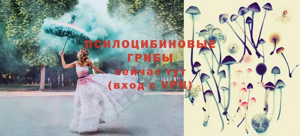 эйфоретик Инсар