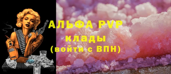 эйфоретик Инсар