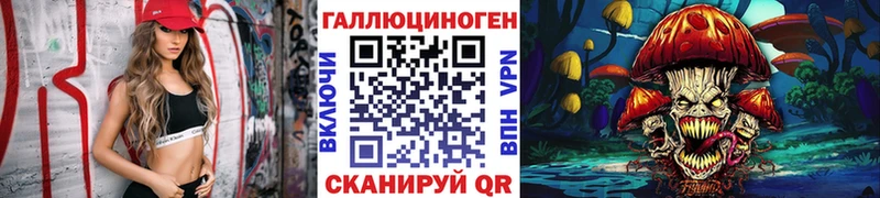 Купить  Мезень  Галлюциногенные грибы Cubensis 