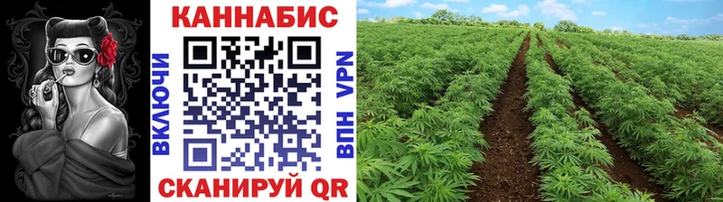 Бошки марихуана Bruce Banner Мезень